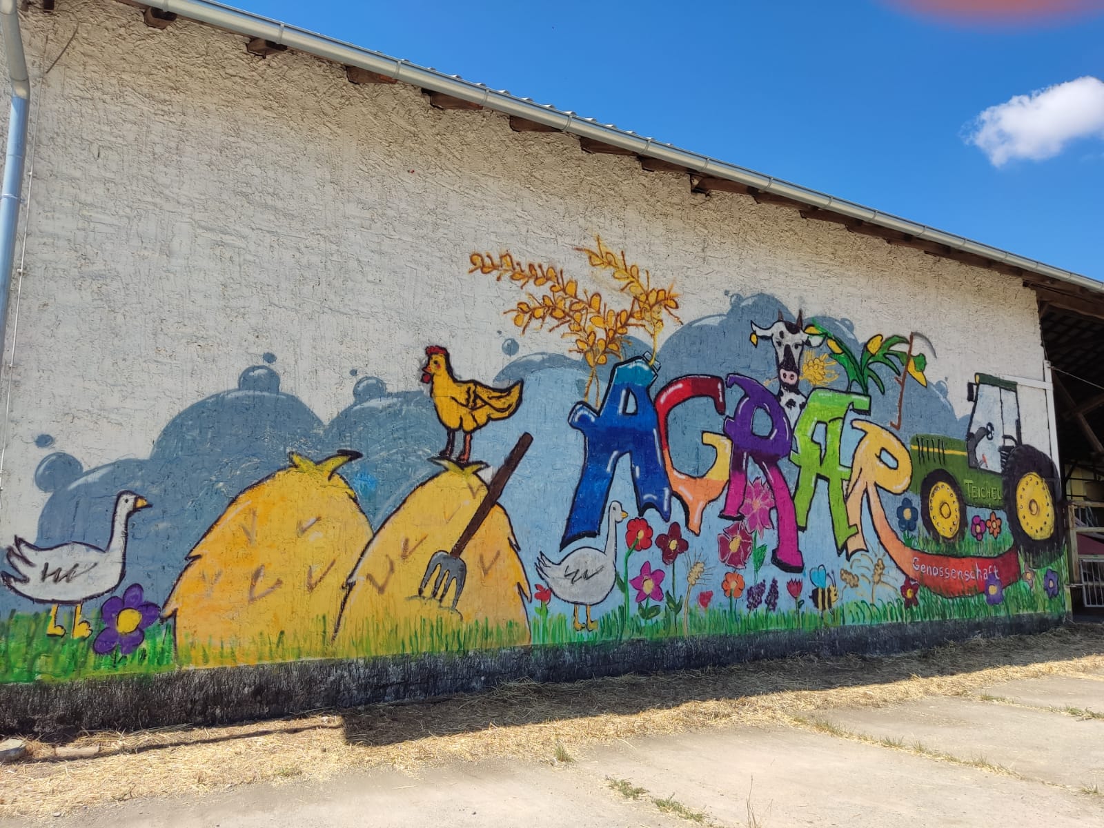 2022-07-00 Graffiti Teichel (24)