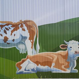 2023-06-09 Thüringen Tag Schmalkalden (15)