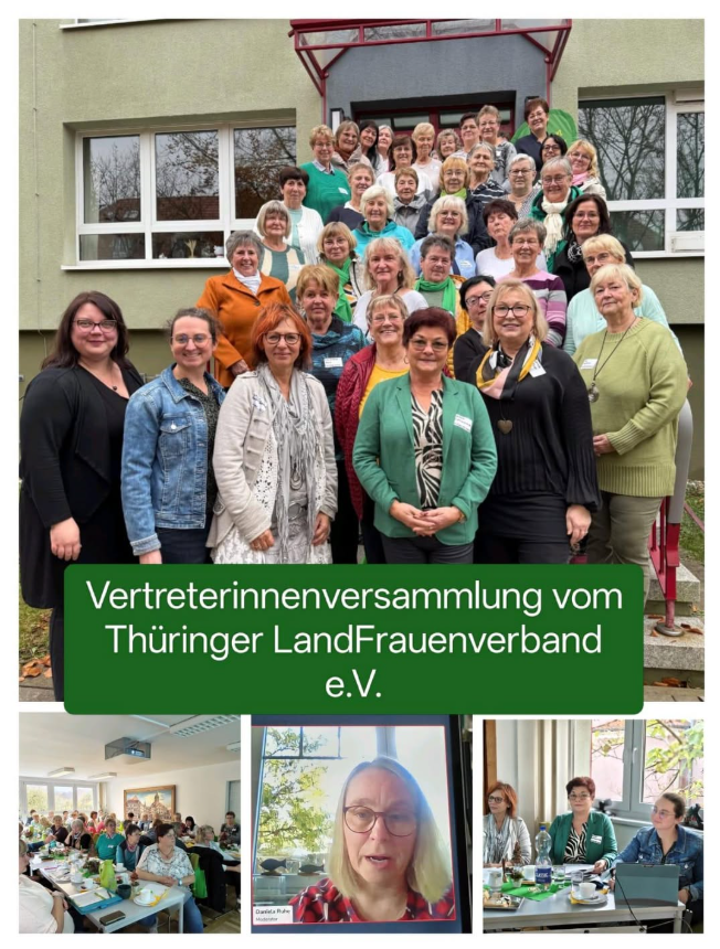 vertreterinnenversammlung